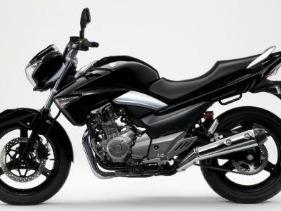 Suzuki Inazuma 250 photo